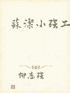 苏洁小强工地情