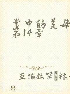 掌中的美母版主第14章