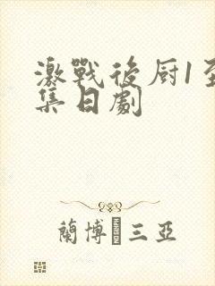 激战后厨1至5集日剧