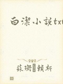 白洁小说txt
