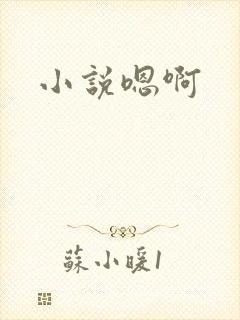 小说嗯啊