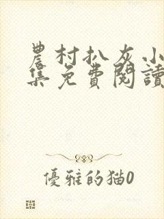 农村扒灰小说全集免费阅读