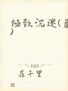 极致沉迷(臣年)