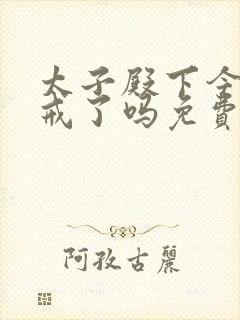 太子殿下今天破戒了吗免费阅读