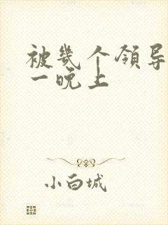 被几个领导玩弄一晚上