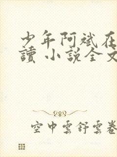 少年阿斌在线阅读 小说全文免费