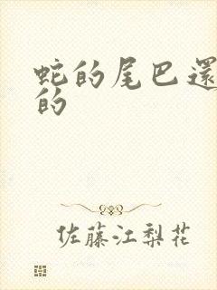 蛇的尾巴还在我的