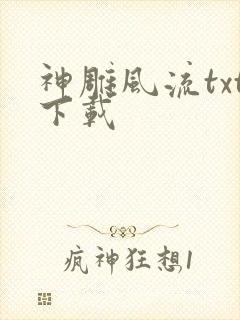 神雕风流txt下载