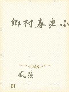 乡村春光小说