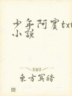 少年阿宾txt小说