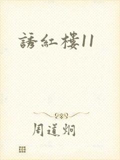 诱红楼11
