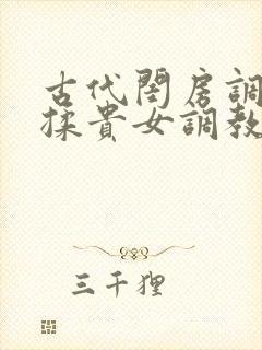 古代闺房调教h揉贵女调教记