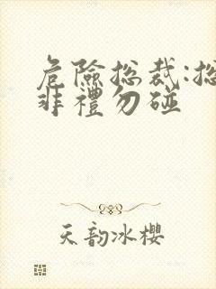 危险总裁:总裁非礼勿碰