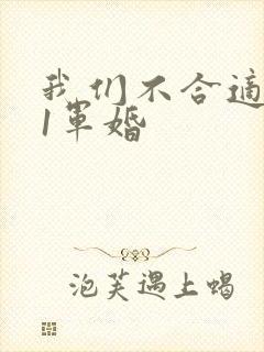 我们不合适1v1军婚
