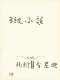 3级小说