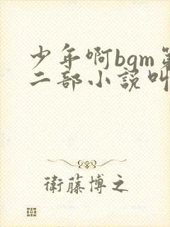 少年啊bgm第二部小说叫什么