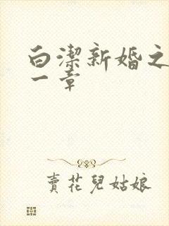 白洁新婚之夜第一章
