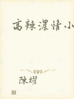 高辣浓情小说