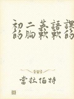 初二英语课代表的胸软软的