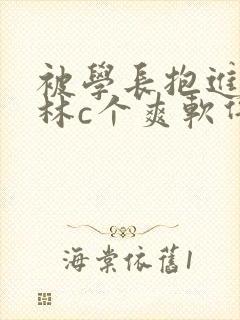 被学长抱进小树林c个爽软件