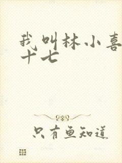 我叫林小喜今年十七