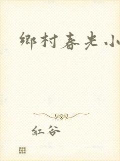乡村春光小说
