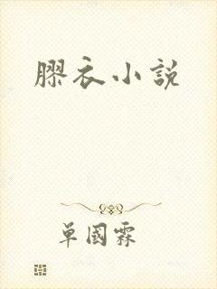 胶衣小说