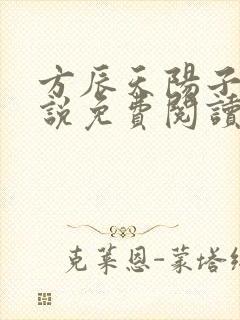 方辰天阳子的小说免费阅读