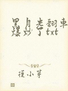 黑月光翻车后被爆炒了txt
