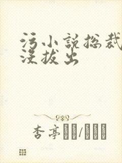 污小说总裁整夜没拔出