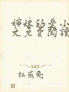 婶娘的爱小说全文免费阅读