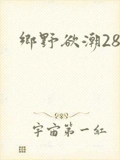 乡野欲潮28章