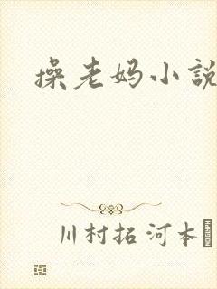 操老妈小说