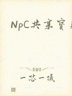 NpC共享宝贝