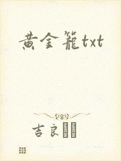 黄金笼txt