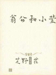 翁公和小莹