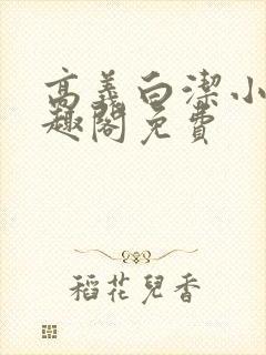 高义白洁小说笔趣阁免费