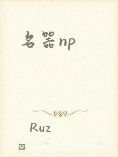 名器np