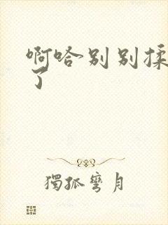 啊哈别别揉那处了