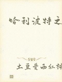 哈利波特之守护