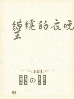 缠绕的夜晚双男主