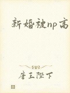 新婚被np高h