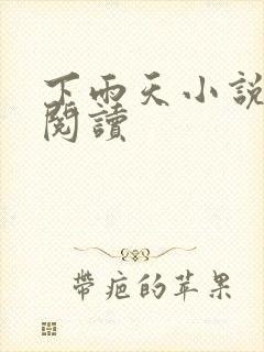 下雨天小说免费阅读