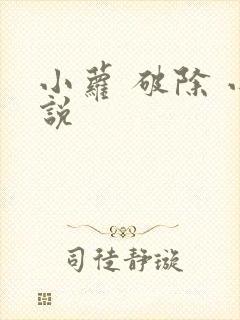 小萝 破除 小说