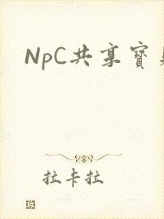 NpC共享宝贝