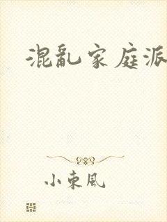 混乱家庭派对