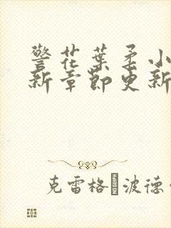 警花叶柔小说最新章节更新