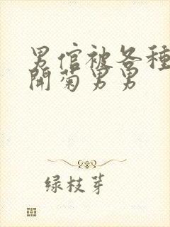 男倌被各种玉势开菊男男