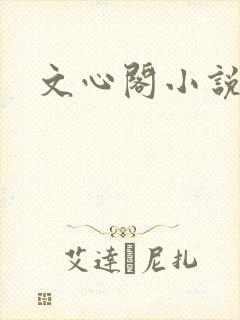 文心阁小说