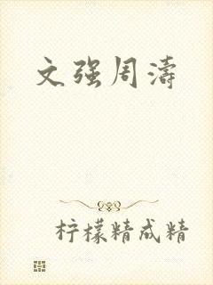 文强周涛